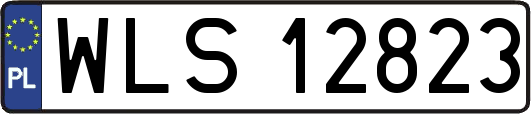 WLS12823