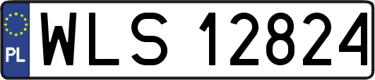 WLS12824