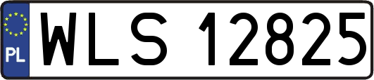 WLS12825