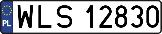 WLS12830