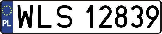 WLS12839