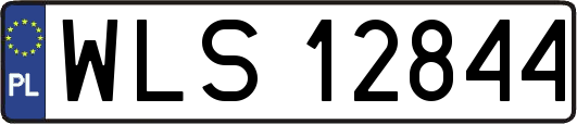 WLS12844