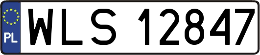 WLS12847