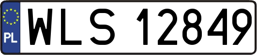 WLS12849