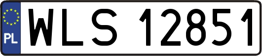 WLS12851