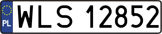 WLS12852