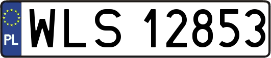WLS12853