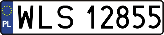 WLS12855
