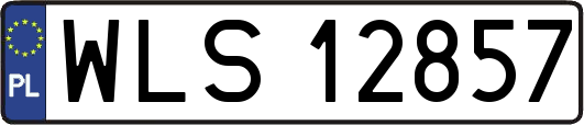 WLS12857
