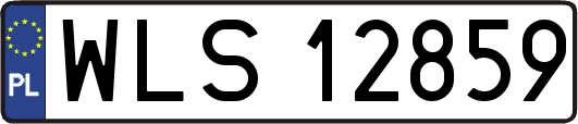 WLS12859