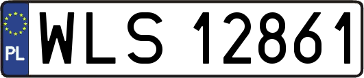 WLS12861