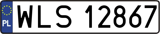 WLS12867