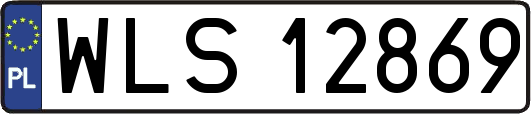 WLS12869