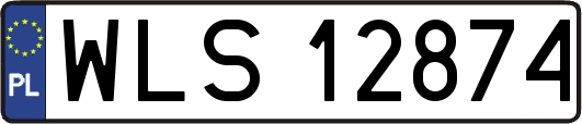 WLS12874