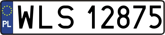 WLS12875