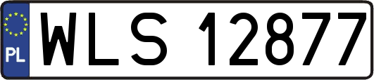 WLS12877