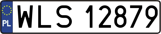 WLS12879