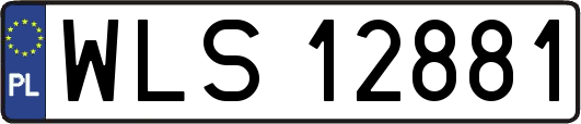 WLS12881