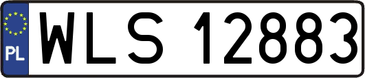 WLS12883