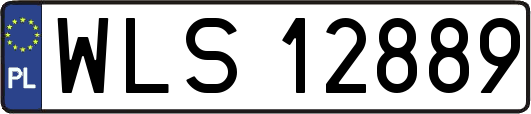 WLS12889