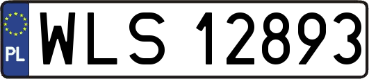 WLS12893