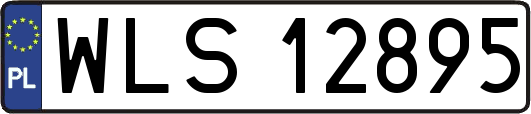 WLS12895