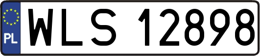 WLS12898