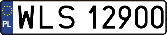 WLS12900