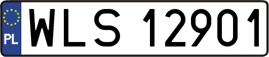 WLS12901