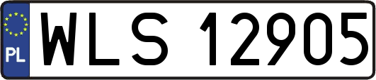 WLS12905