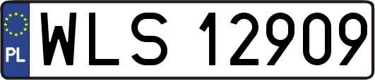 WLS12909