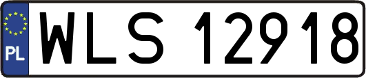 WLS12918