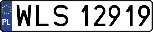WLS12919