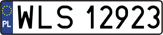 WLS12923