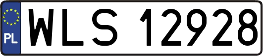 WLS12928