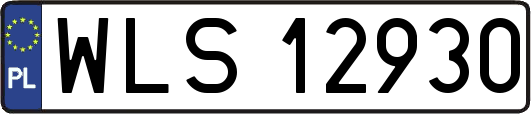 WLS12930