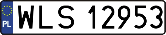 WLS12953