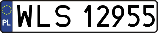 WLS12955