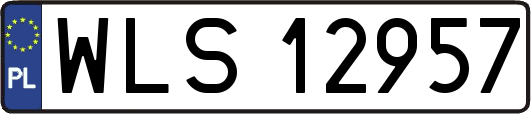 WLS12957