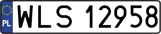 WLS12958