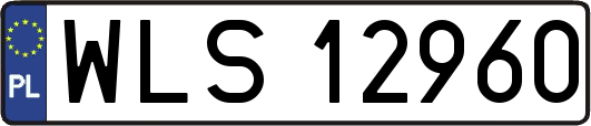 WLS12960