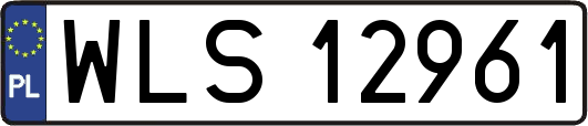 WLS12961