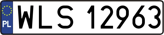 WLS12963