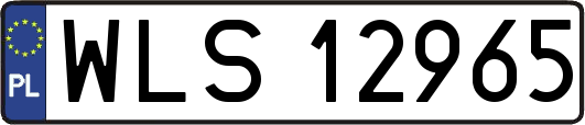 WLS12965