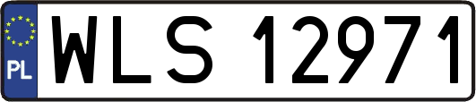 WLS12971