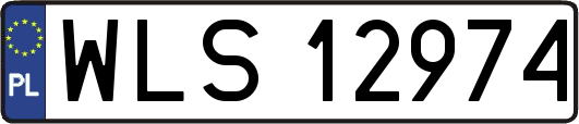 WLS12974