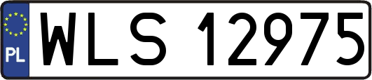 WLS12975