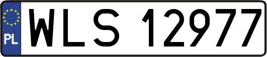 WLS12977