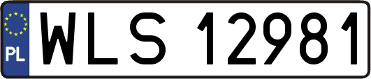 WLS12981