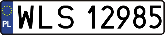 WLS12985
